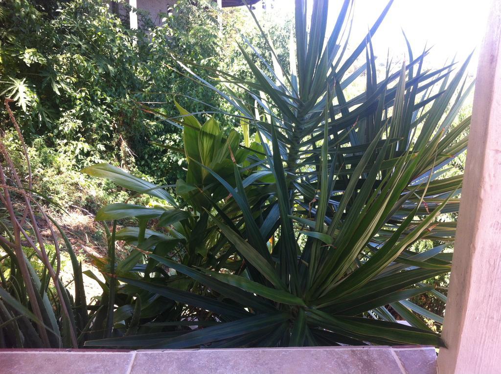 Sunset Gardens Guesthouse Contant  Zewnętrze zdjęcie